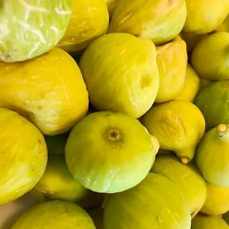 Laura - Antico Borgo Di Sicilia 4* Milici