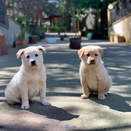 Laura - Antico Borgo Di Sicilia