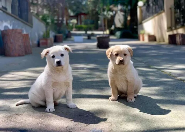 Laura - Antico Borgo Di Sicilia